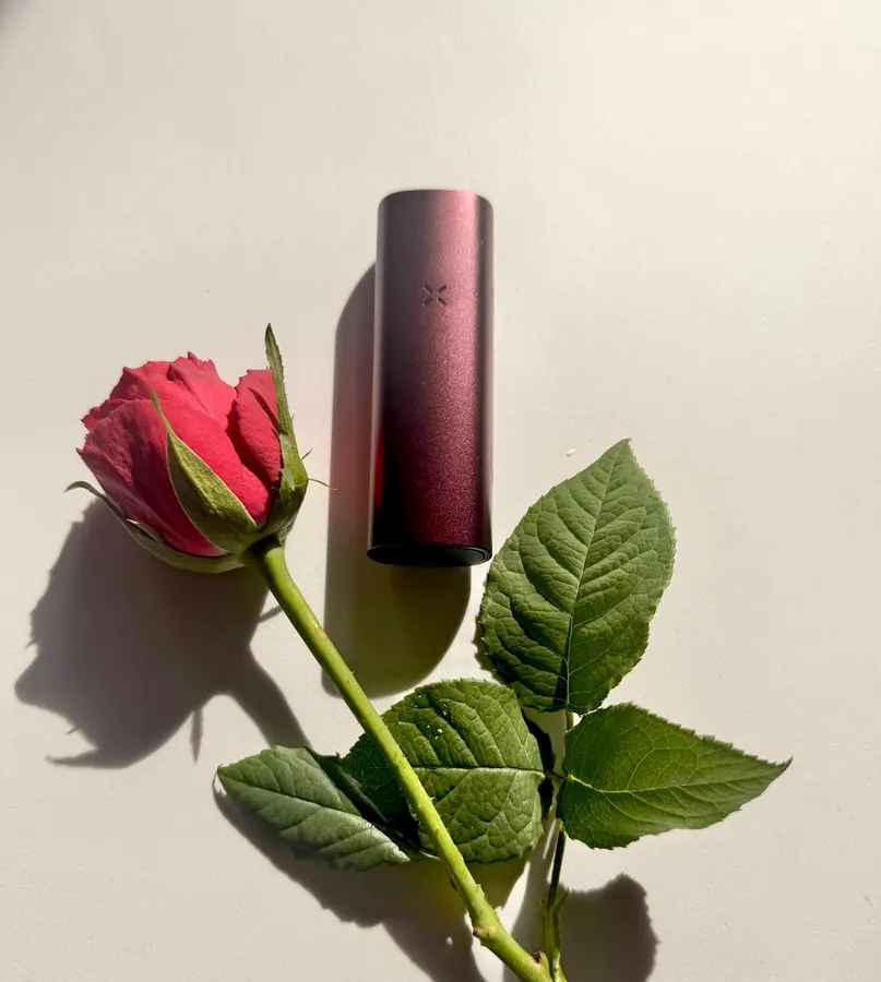 PAX Mini in Oxblood with a red rose on a white background