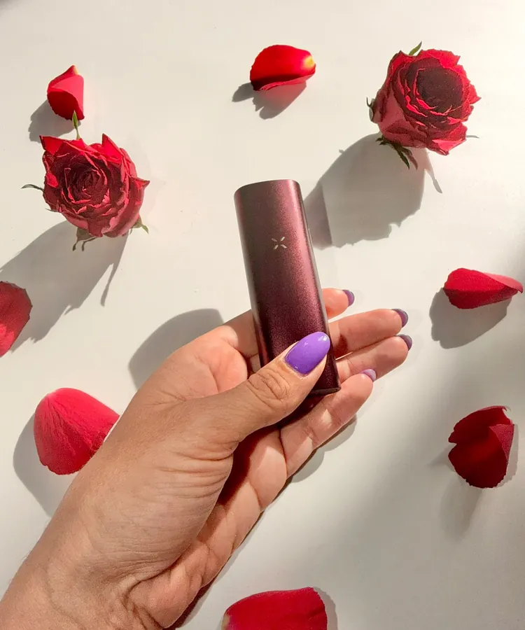 PAX Mini in Oxblood held among scattered rose petals