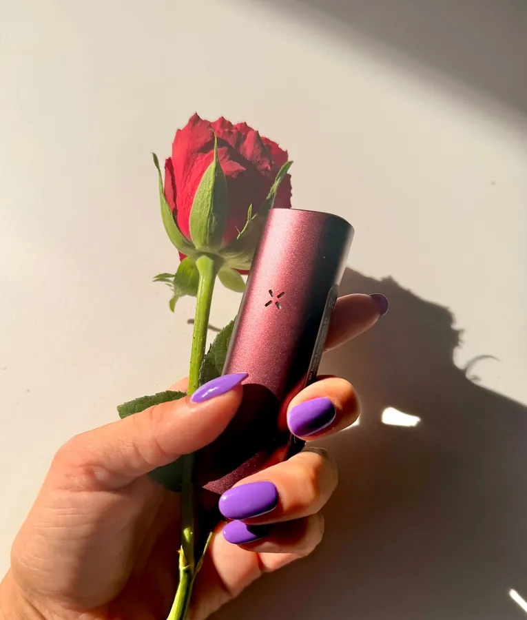 PAX Mini in Oxblood held alongside a red rose